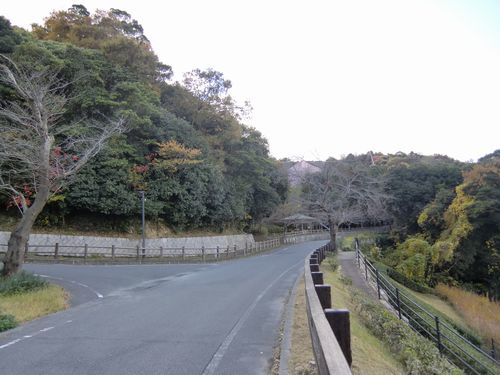 グレーシア駅南　107号