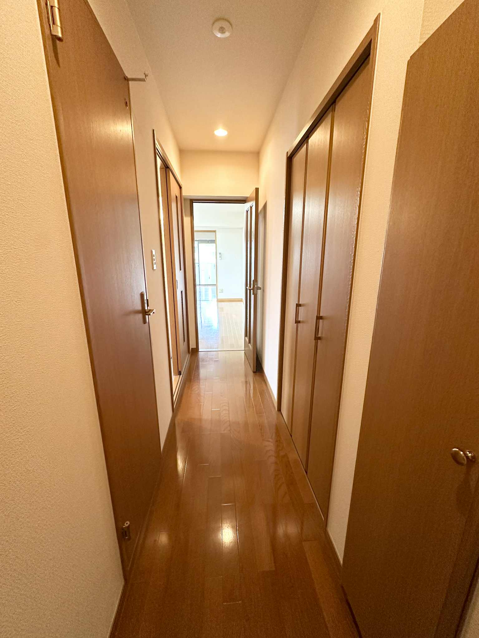 吉幸Ⅲ205号 一人暮らしにピッタリ賃貸物件♪