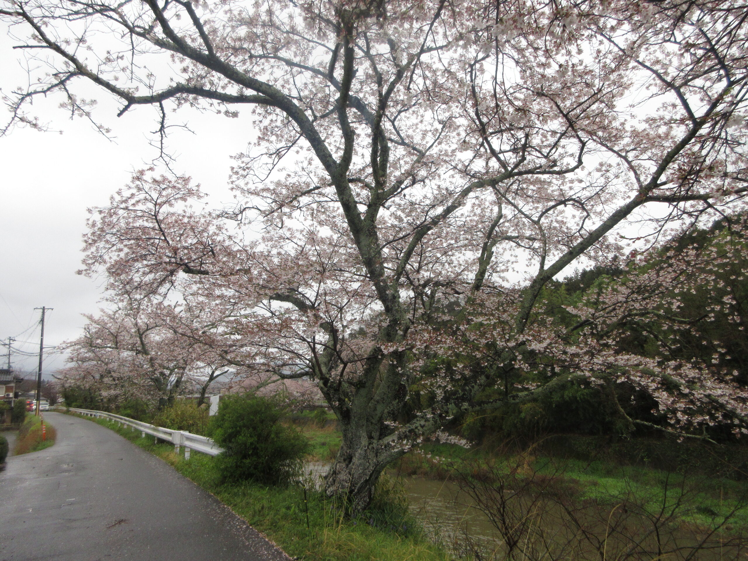 山口市古熊中古住宅
